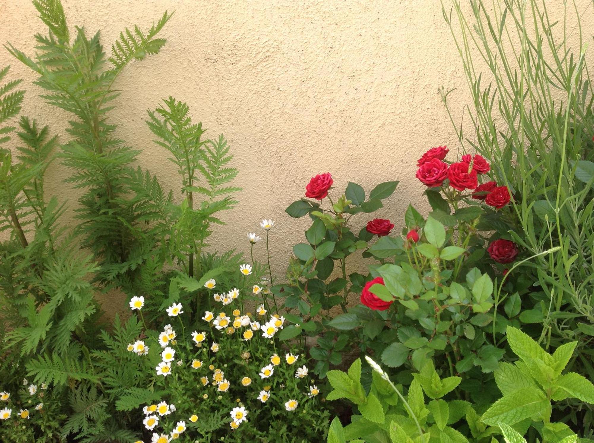 Miranda de Arga Casa Rural Runa المظهر الخارجي الصورة